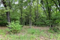 Undeveloped Land for sale in Smith County, Texas
