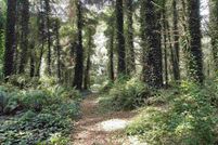 Land for sale in Del Norte County, California