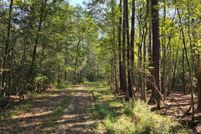 Land for sale in Pearl River County, Mississippi