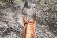 Land for sale in Hunt County, Texas