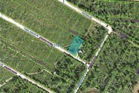 Undeveloped Land for sale in Polk County, Florida
