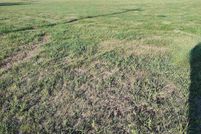 Undeveloped Land for sale in Lewis County, Idaho