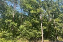 Undeveloped Land for sale in Henry County, Alabama