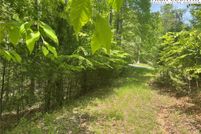 Land for sale in Ashe County, North Carolina