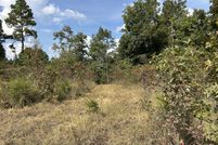Undeveloped Land for sale in Douglas County, Missouri