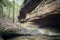 Undeveloped Land for sale in Winston County, Alabama