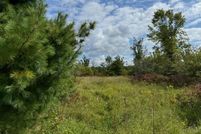 Undeveloped Land for sale in Cheboygan County, Michigan
