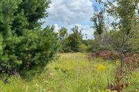 Land for sale in Cheboygan County, Michigan