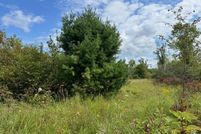 Land for sale in Cheboygan County, Michigan