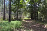 Land for sale in Walthall County, Mississippi
