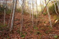 Land for sale in Madison County, North Carolina