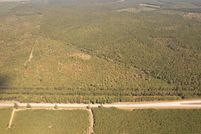 Land for sale in Williamsburg County, South Carolina