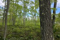 Farm and Ranch for sale in Alcona County, Michigan