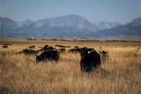 Recreational Property for sale in Sweet Grass County, Montana