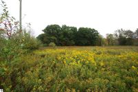 Undeveloped Land for sale in Ogemaw County, Michigan
