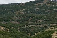 Farm and Ranch for sale in Summit County, Utah