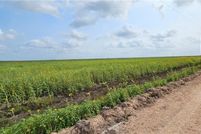 Land for sale in Hidalgo County, Texas