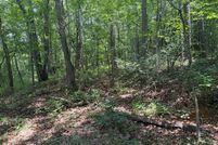 Land for sale in DeKalb County, Alabama