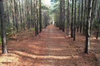 Land for sale in Houston County, Texas