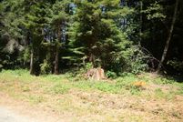 Homesite for sale in Del Norte County, California