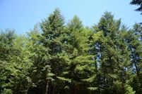 Homesite for sale in Del Norte County, California