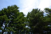 Land for sale in Del Norte County, California