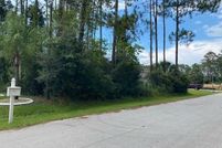 Undeveloped Land for sale in Flagler County, Florida
