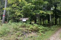 Land for sale in Mackinac County, Michigan