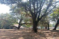 Land for sale in Baldwin County, Alabama