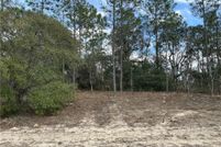Hunting Property for sale in Citrus County, Florida