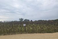 Undeveloped Land for sale in Iowa County, Wisconsin