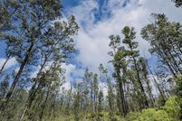 Land for sale in Hawaii County, Hawaii