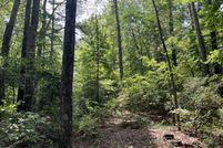 Land for sale in Marion County, Alabama