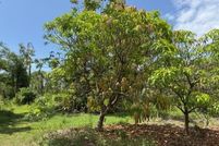 Land for sale in Lee County, Florida