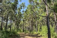 Timberland Property for sale in Lauderdale County, Mississippi