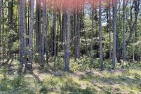 Land for sale in White County, Arkansas