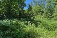 Land for sale in Luce County, Michigan