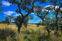 Land for sale in Blanco County, Texas