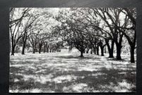 Recreational Property for sale in Assumption Parish, Louisiana