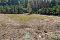 Land for sale in Darlington County, South Carolina