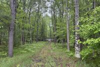 Land for sale in Lake County, Michigan