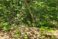 Land for sale in Sharp County, Arkansas
