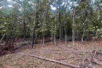 Undeveloped Land for sale in Clay County, Alabama
