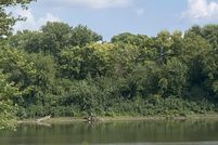 Land for sale in Tippecanoe County, Indiana