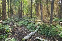 Land for sale in Flathead County, Montana