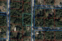 Land for sale in Levy County, Florida