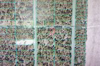 Undeveloped Land for sale in Marion County, Florida