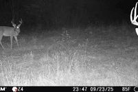 Undeveloped Land for sale in Smith County, Texas