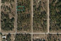 Undeveloped Land for sale in Marion County, Florida