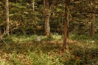 Undeveloped Land for sale in Wolfe County, Kentucky